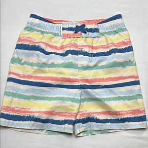Blue and Green Swim Trunks with Striped Pattern